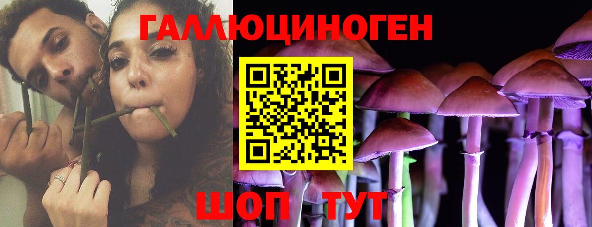 Псилоцибиновые грибы GOLDEN TEACHER  как найти наркотики  Заволжье  Галлюциногенные грибы ЛСД  Вход с VPN 